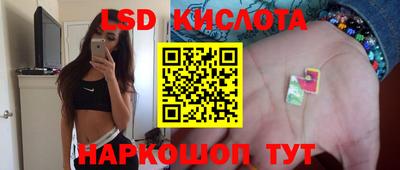 дмт Краснодар
