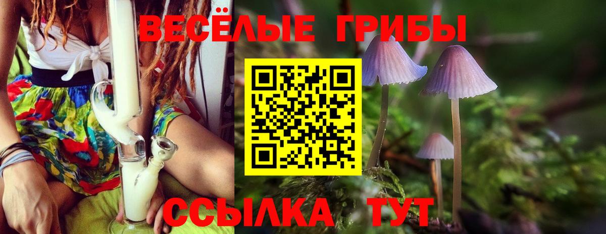 Галлюциногенные грибы Psilocybine cubensis  Вход с VPN  Ковров 